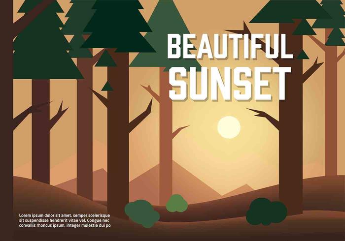 Free Vector Sunset Illustration