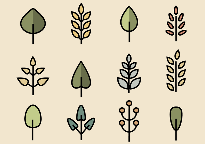 Free Leaves Pack Vector Free Leaves Pack Vector