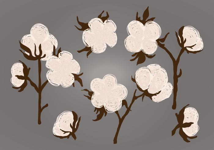 Vector Cotton Plant Illustration Vector Cotton Plant Illustration