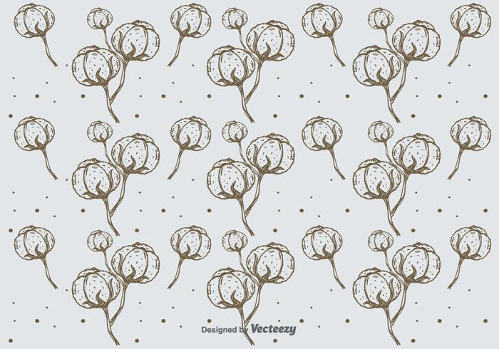 Hand Drawn Cotton Pattern Background vector