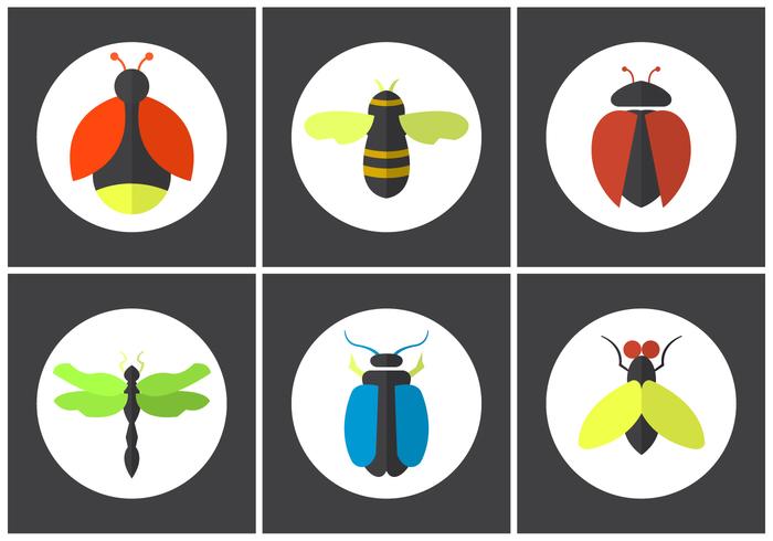 Set of Vector Bugs Set of Vector Bugs