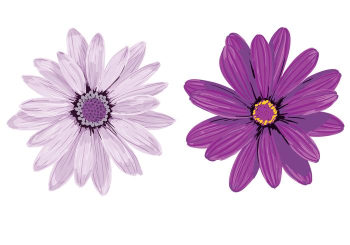 Purple Flower Vectors