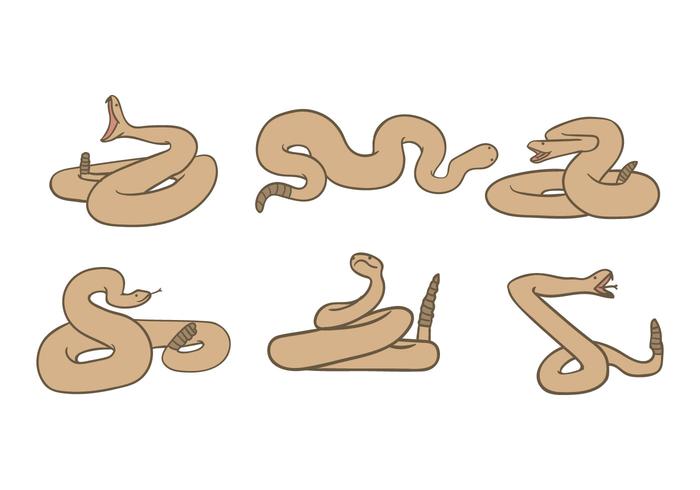 Rattlesnake Vector Rattlesnake Vector