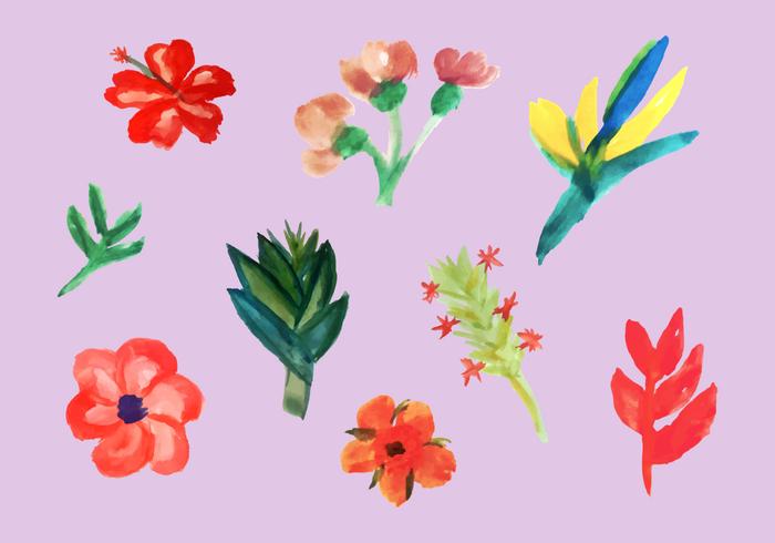 Tropical Flowers Vector Pack