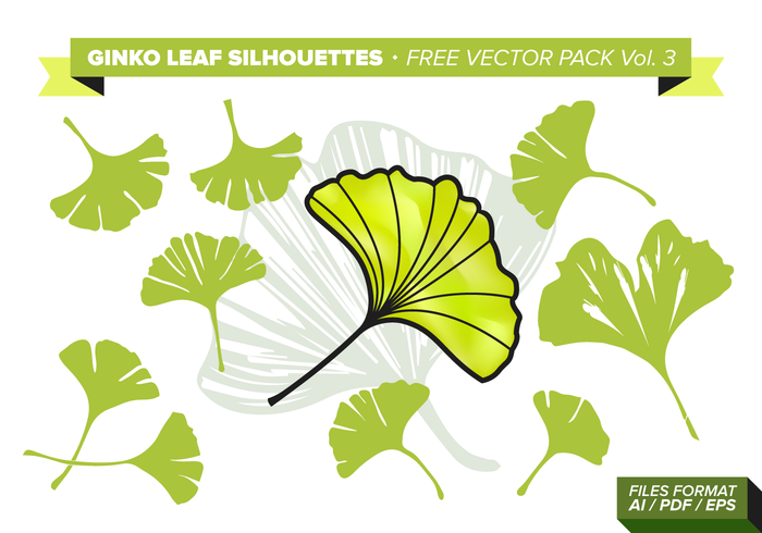 Ginko Leaf Free Vector Pack Vol. 3 Ginko Leaf Free Vector Pack Vol. 3