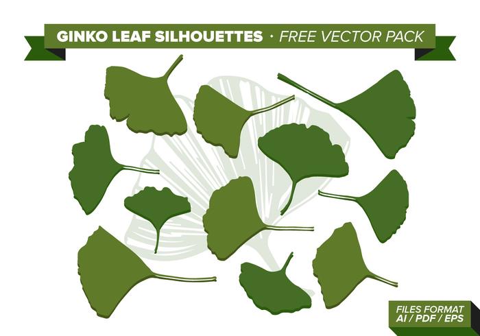 Ginko Leaf Free Vector Pack Ginko Leaf Free Vector Pack