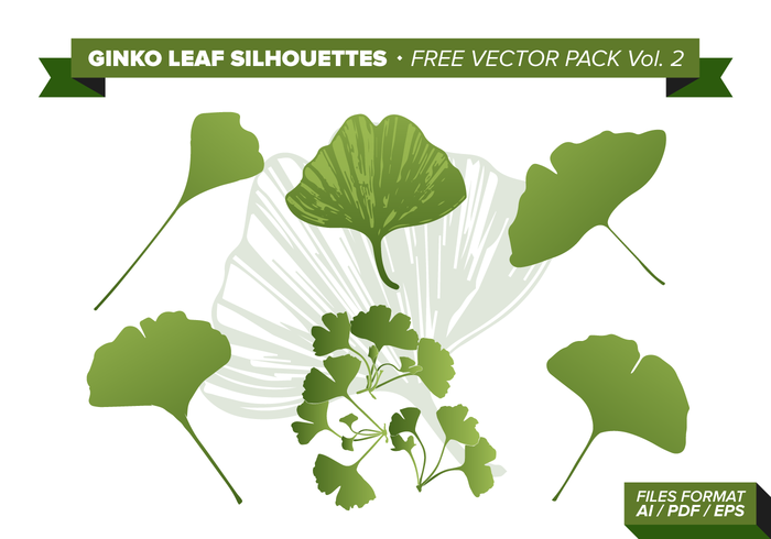 Ginko Leaf Free Vector Pack Vol. 2 Ginko Leaf Free Vector Pack Vol. 2