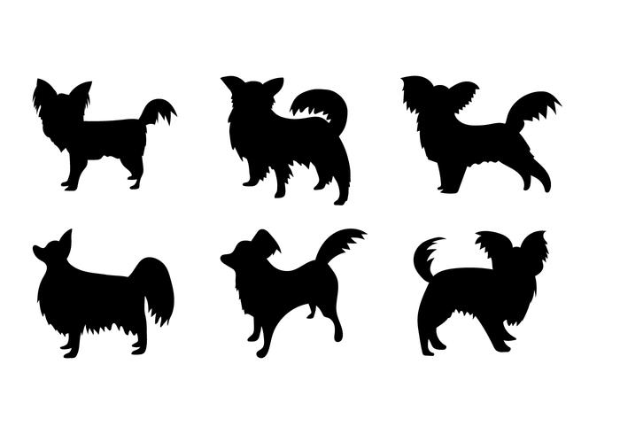 Papillon Vector Papillon Vector