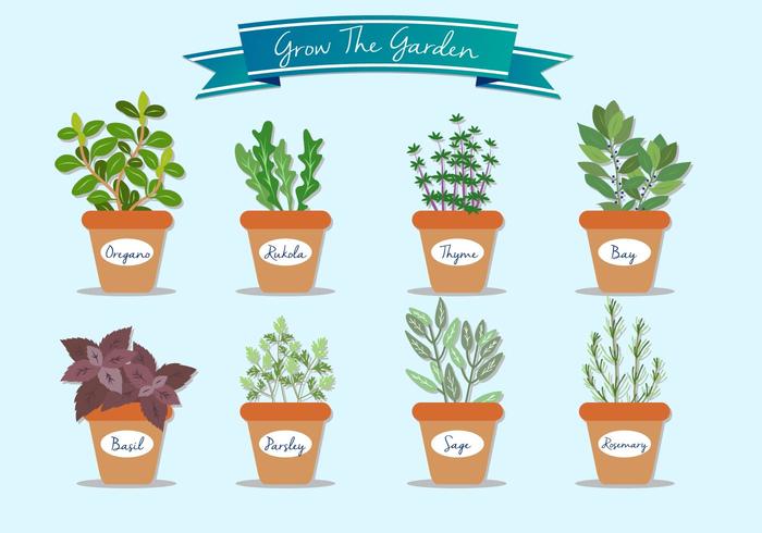 Grow The Garden Plant Vectors Grow The Garden Plant Vectors