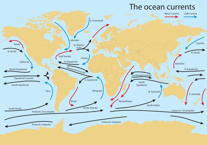 Océano mapa del mundo actual vector