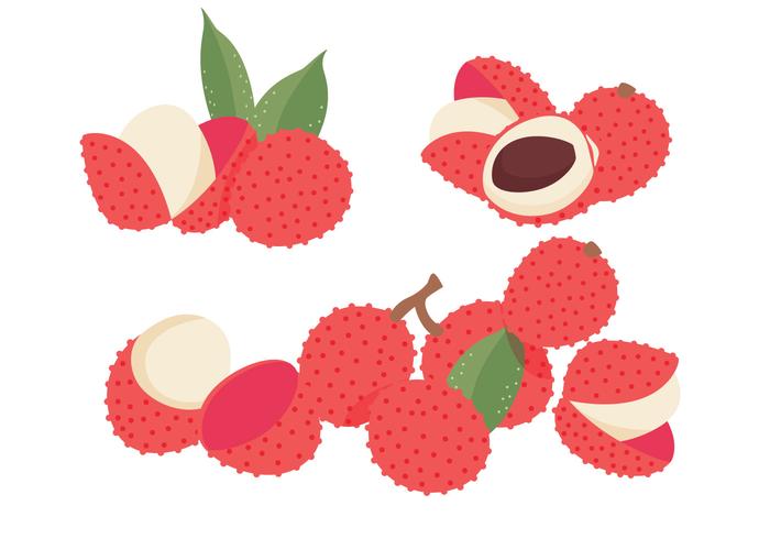 Lychee Vectors