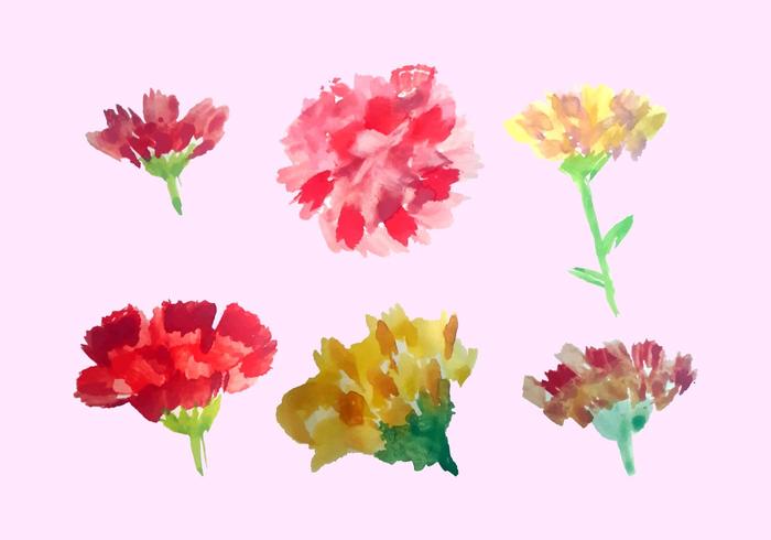 Libre de acuarela Carnation Vector Pack