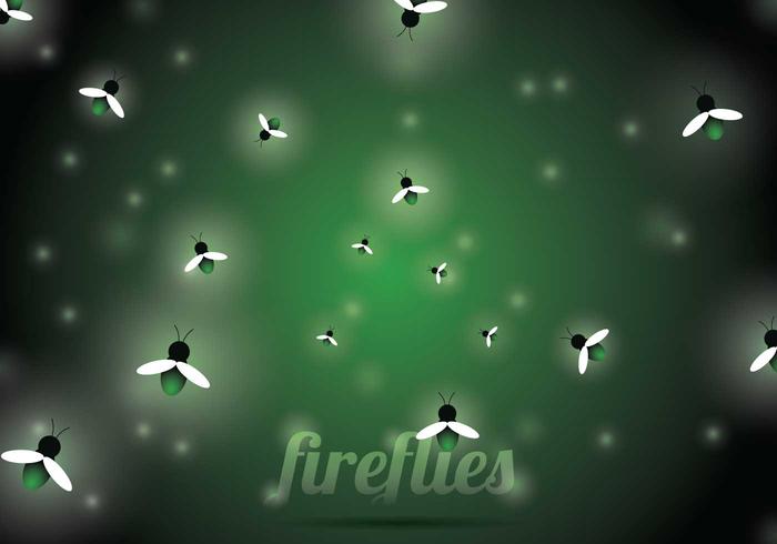 Firefly Vector Background