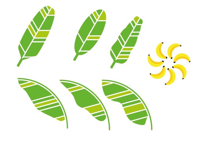 clip art banana leaf - photo #11