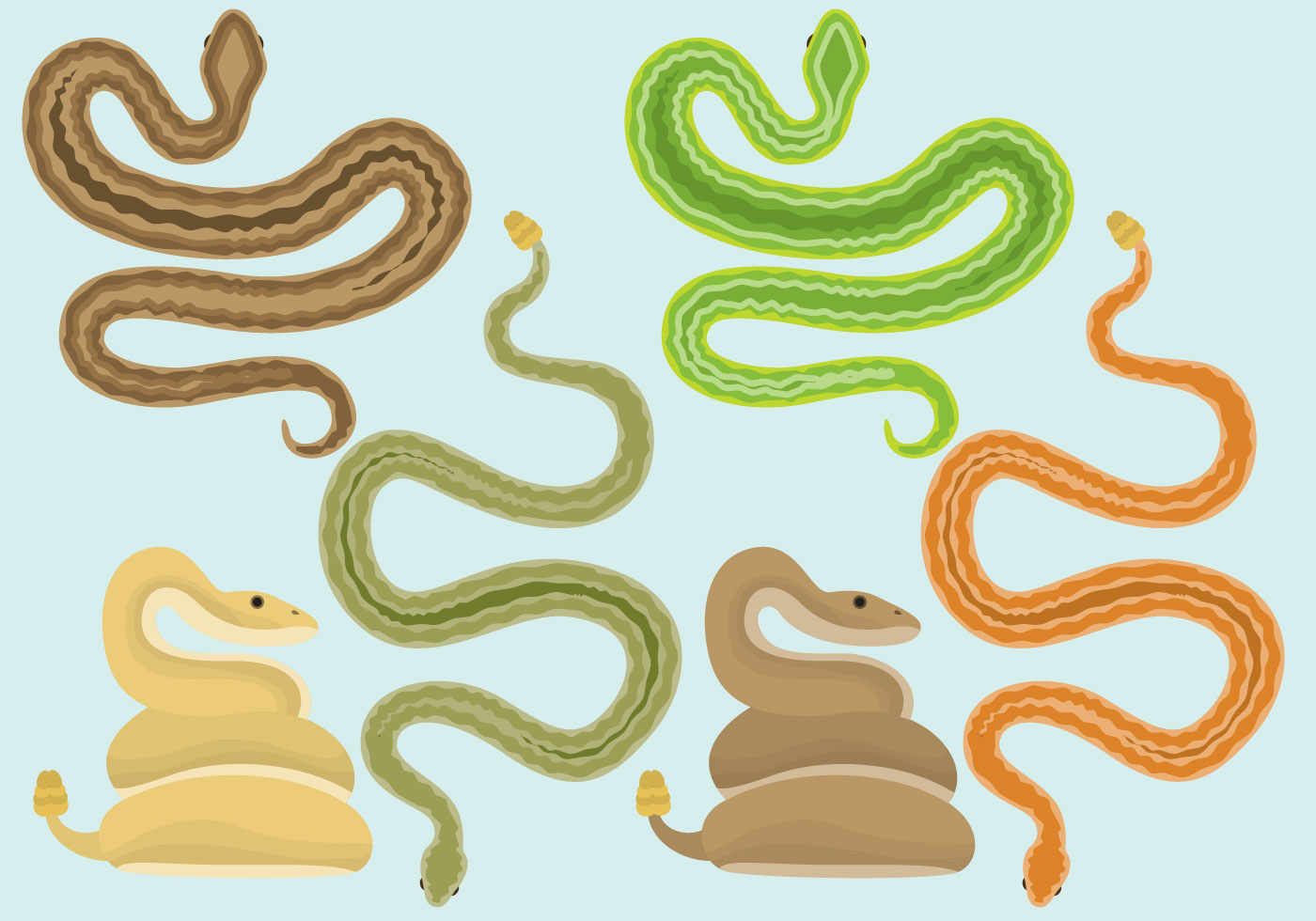 Snakes And Rattlesnake Vectors 105196 Vector Art at Vecteezy