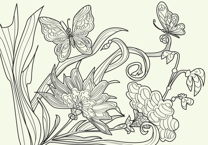 Adult Coloring Papillon Vector