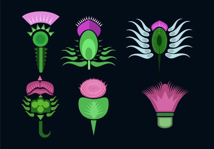 Various Thistle Flower Vector