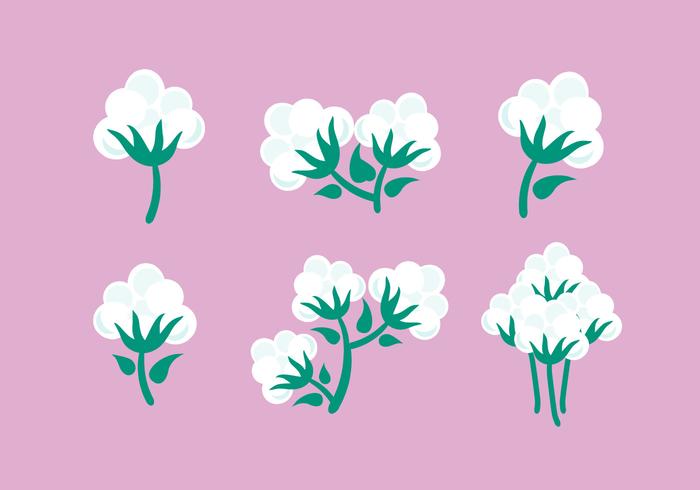 Cotton Plant Vector 