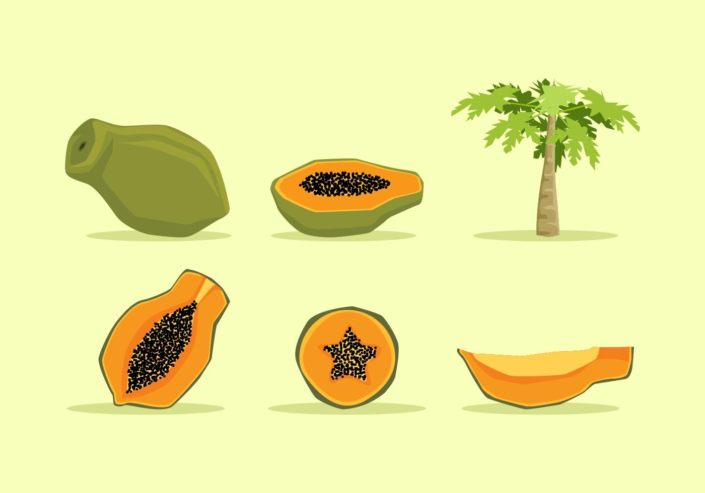 Free Free 255 Pawpaw Svg Free SVG PNG EPS DXF File