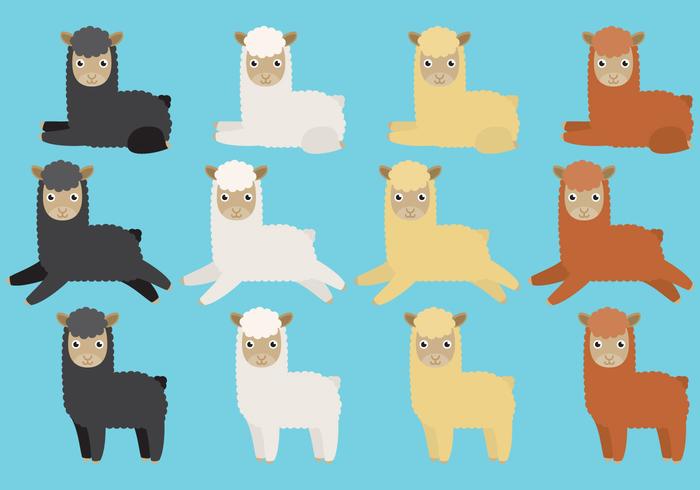 Cute Llama Vectors