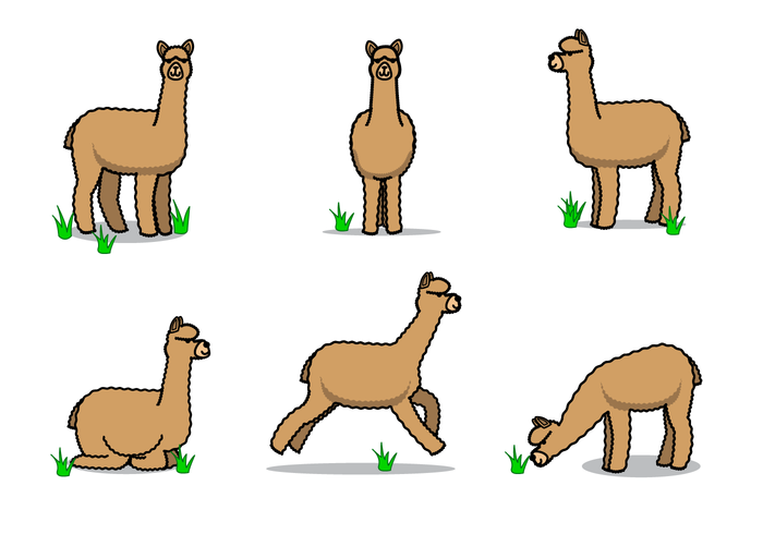 Free Alpaca Vector