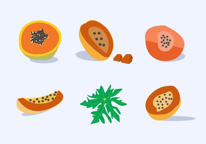 Papaya Frutas Vector