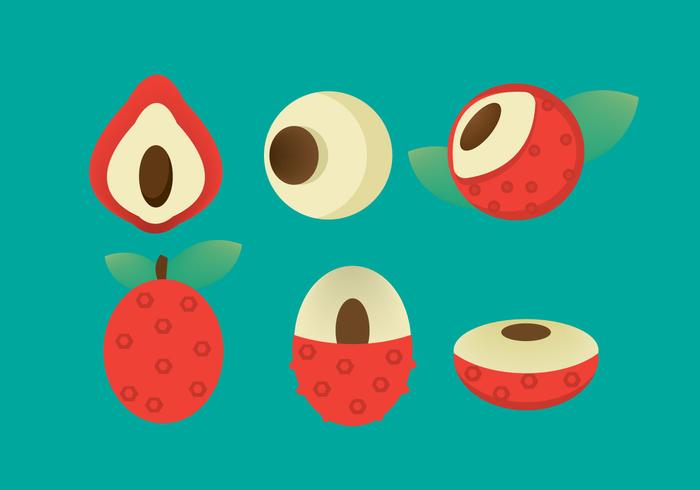 Free Lychee Vector Icon Free Lychee Vector Icon