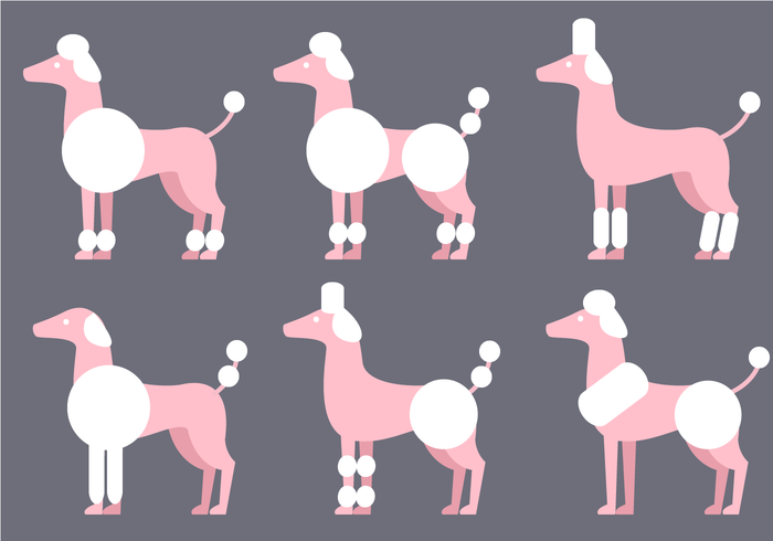 Poodle Vector