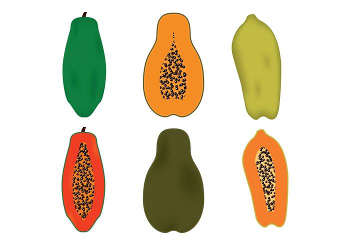 Papaya Vector Papaya Vector
