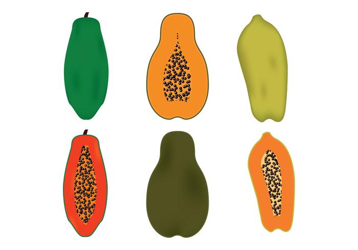 Papaya Vector