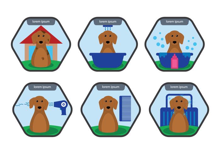 Dog Wash Vector