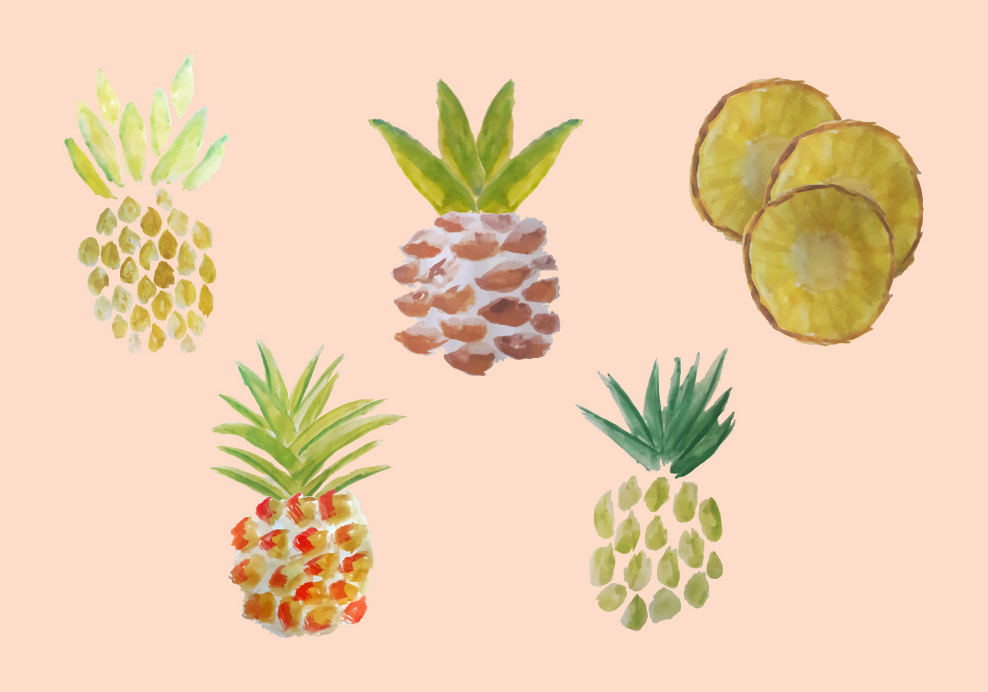 Download Free Watercolor Pineapple Vector Pack - Download Free Vectors, Clipart Graphics & Vector Art