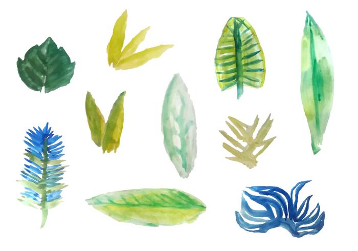 Free Watercolor Tropical Leaves Vectors