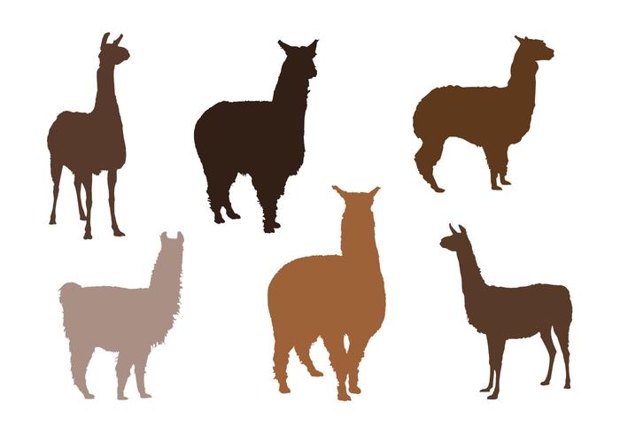 Alpaca Vector Silhouettes Alpaca Vector Silhouettes