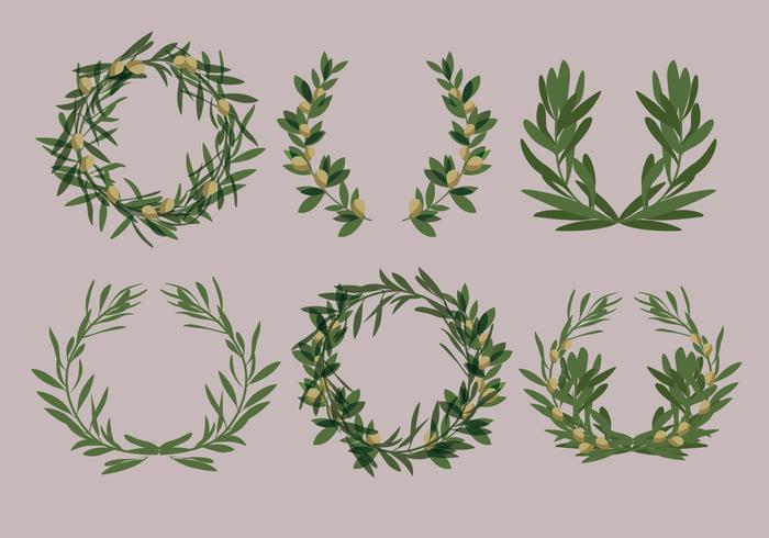 Laurel Olive Wreath Vectors