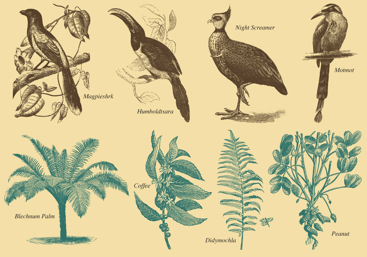 Flora Y Fauna Vectores, Iconos, Gráficos y Fondos para Descargar Gratis