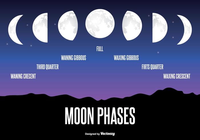 Moon Phase Illustration 106967 - Download Free Vectors, Clipart