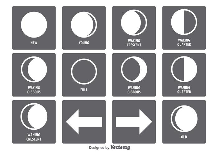 Moon Phase Icon Set vector