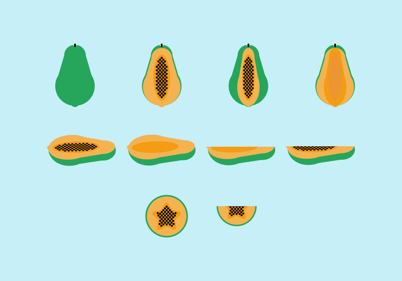 Free Papaya Vector Pack 107008 Vector Art at Vecteezy