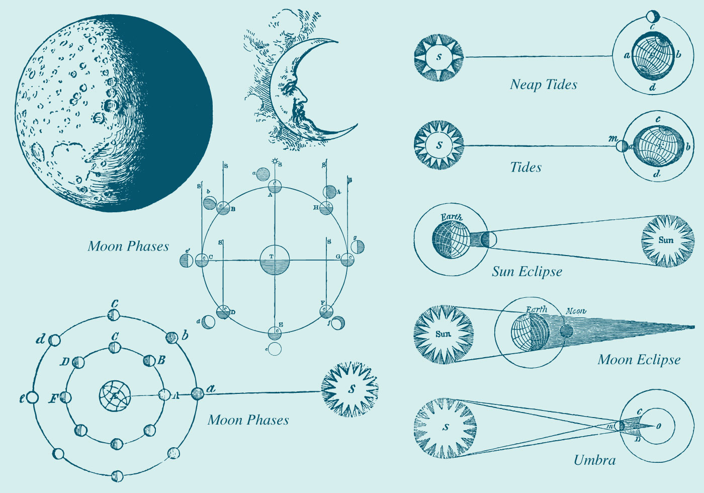 old style drawing moon phase vectors