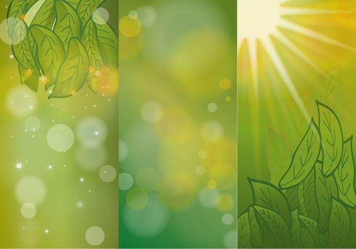  Background  Hijau Green Vectors Download Free Vectors 