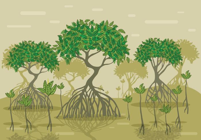 Bosque de vectores de manglares