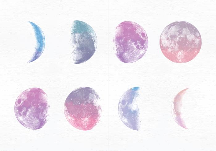 Vector Moon Phases