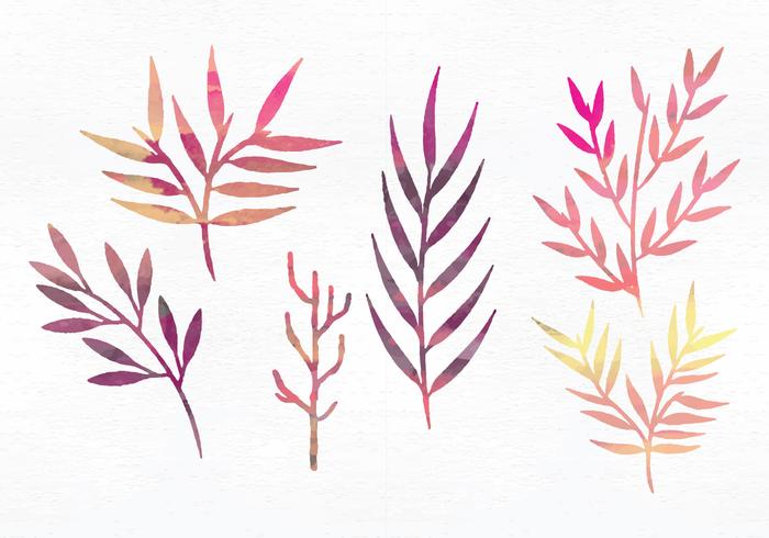 Vector Watercolor Branches