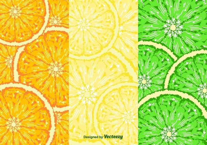 Fruit Slices Pattern Vector