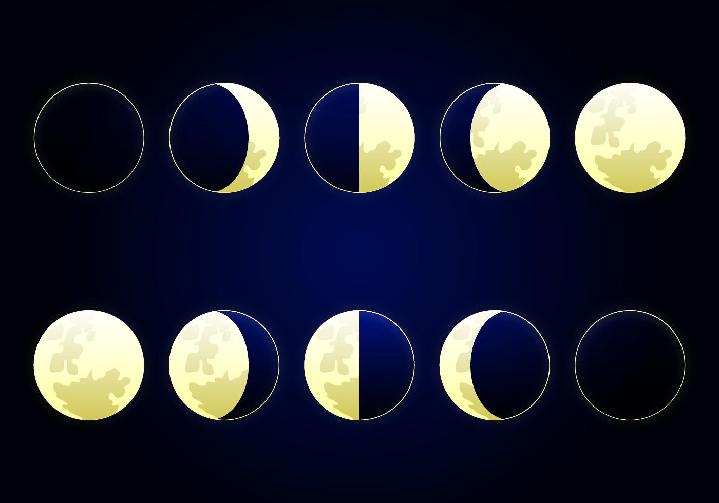 Moon Phase Vector Illustration.