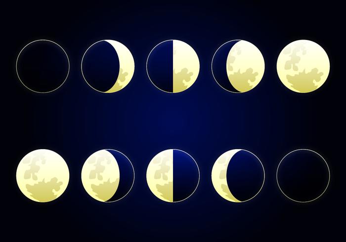 Moon Phase Vector Illustration