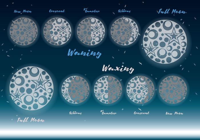 Resumen fase de la luna vectores