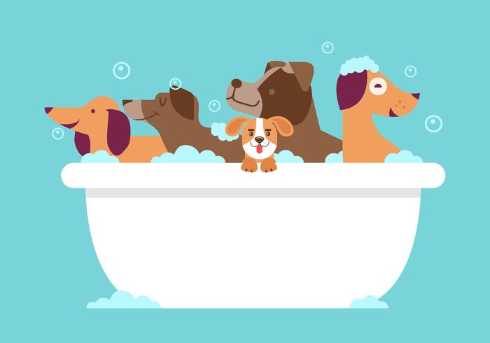 Dog Wash Vector Dog Wash Vector