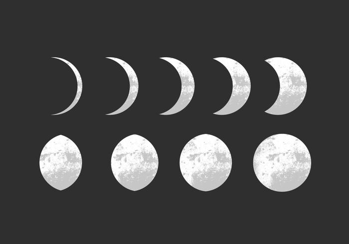 Moon Phase Vectors Moon Phase Vectors